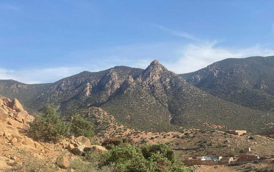 Signal 2023 10 16 42644 pm