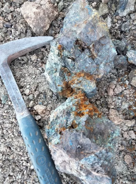 Signal 2025 03 07 163312 002