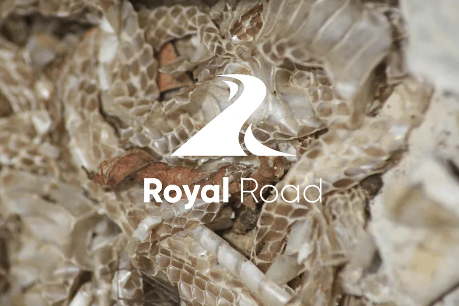 Snake Skin Thumbnail