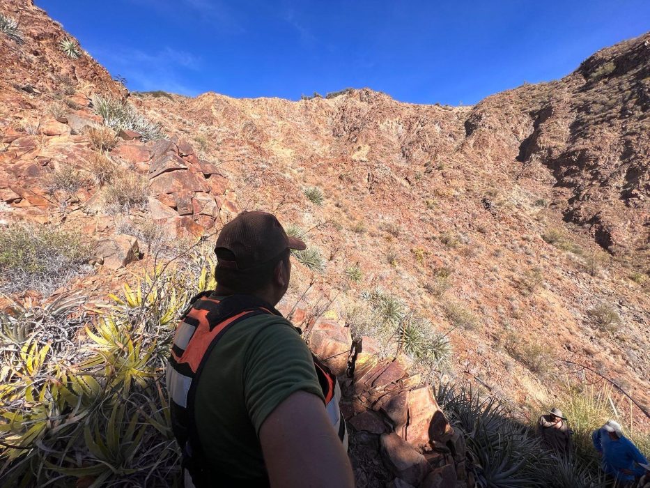 Signal 2023 07 17 121758 002