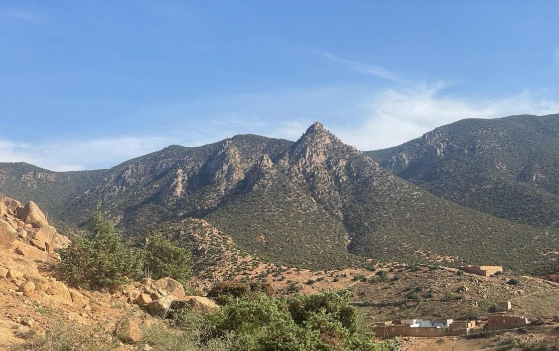 Signal 2023 10 16 42644 pm