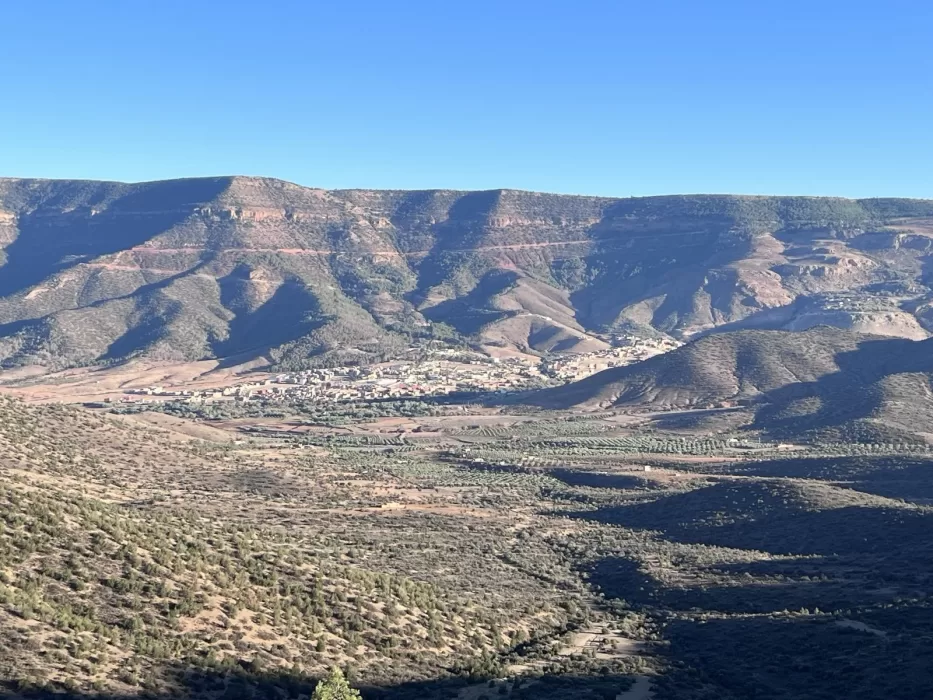 Signal 2024 10 23 121756 002