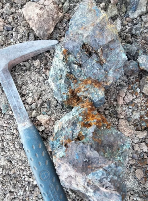 Signal 2025 03 07 163312 002