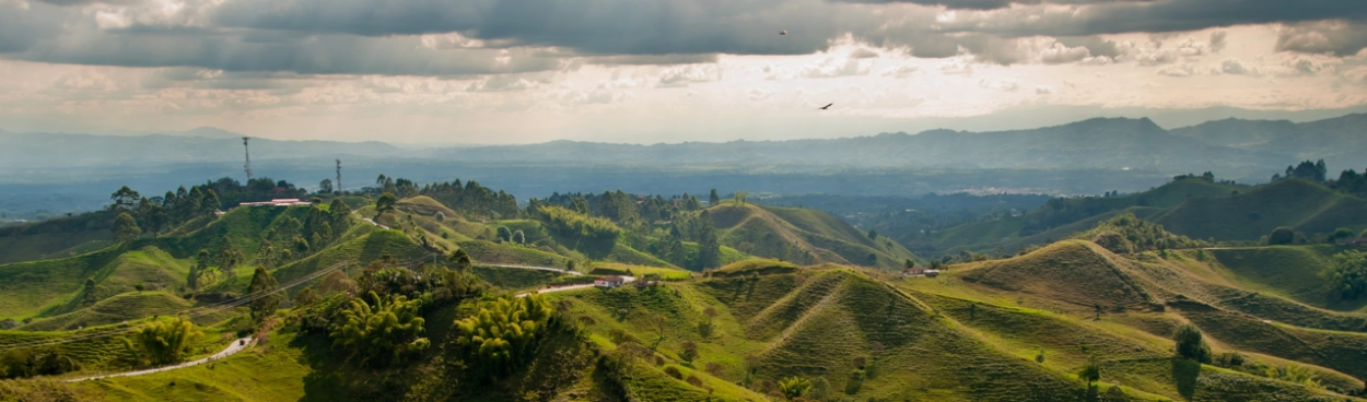 Compressed Columbia Header