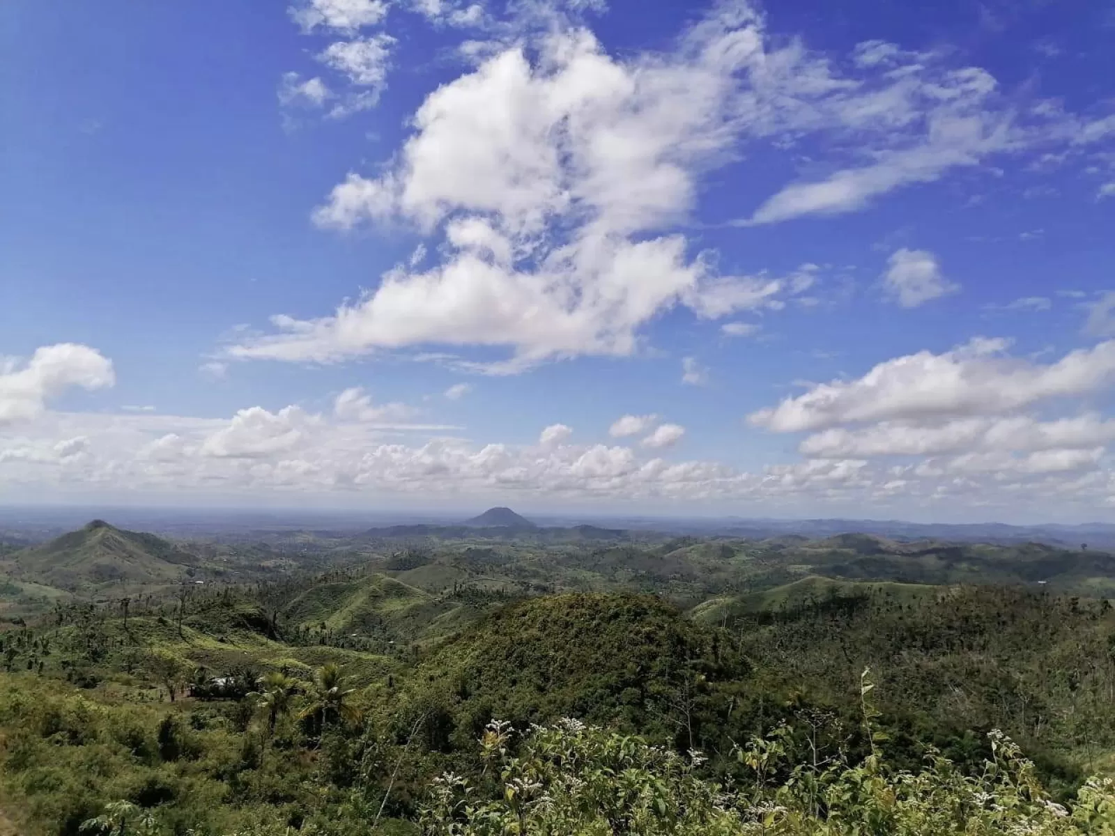 Nueva America 2022 3 2022 08 02 085919 mmtt