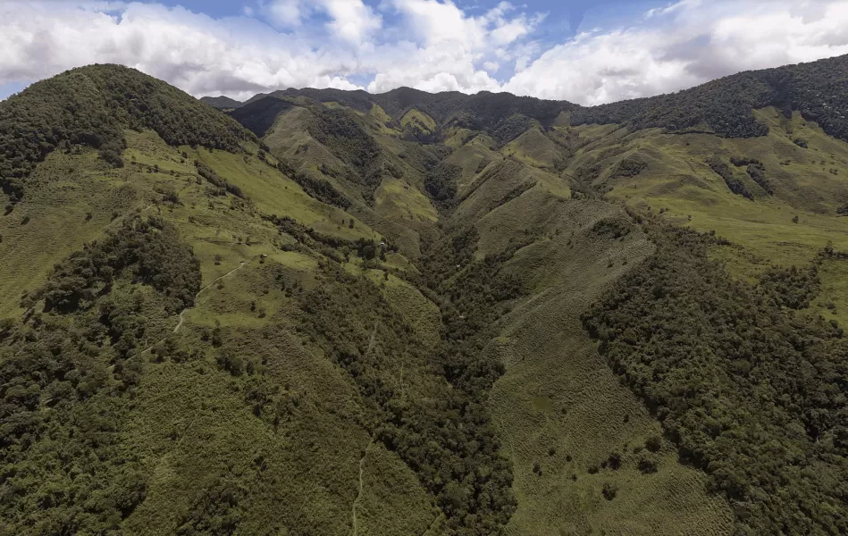 Screenshot 2021 06 02 at 13 07 44 min 1