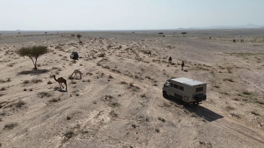 Vlcsnap 2026 03 13 12h09m37s364