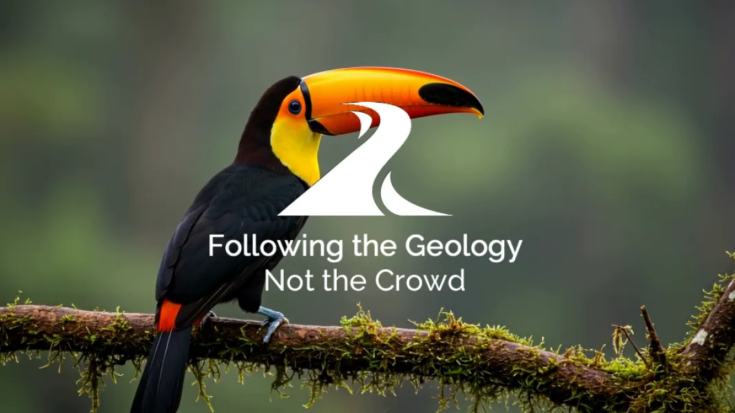 Toucan Flipped FTGNTC