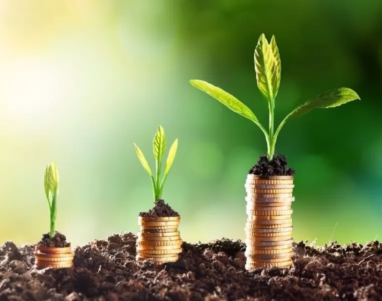 942b9501 6156 4e84 911b 777c7119bfa8 2