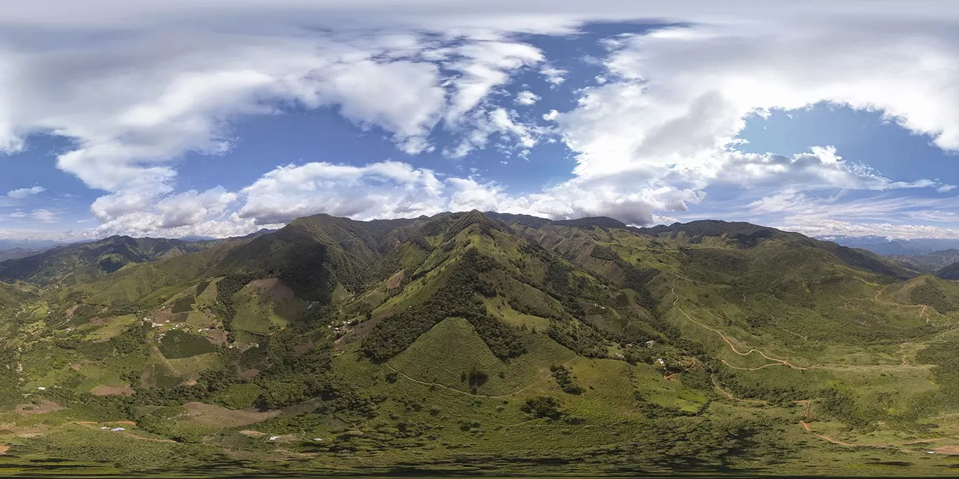 Las margaritas prospect 1