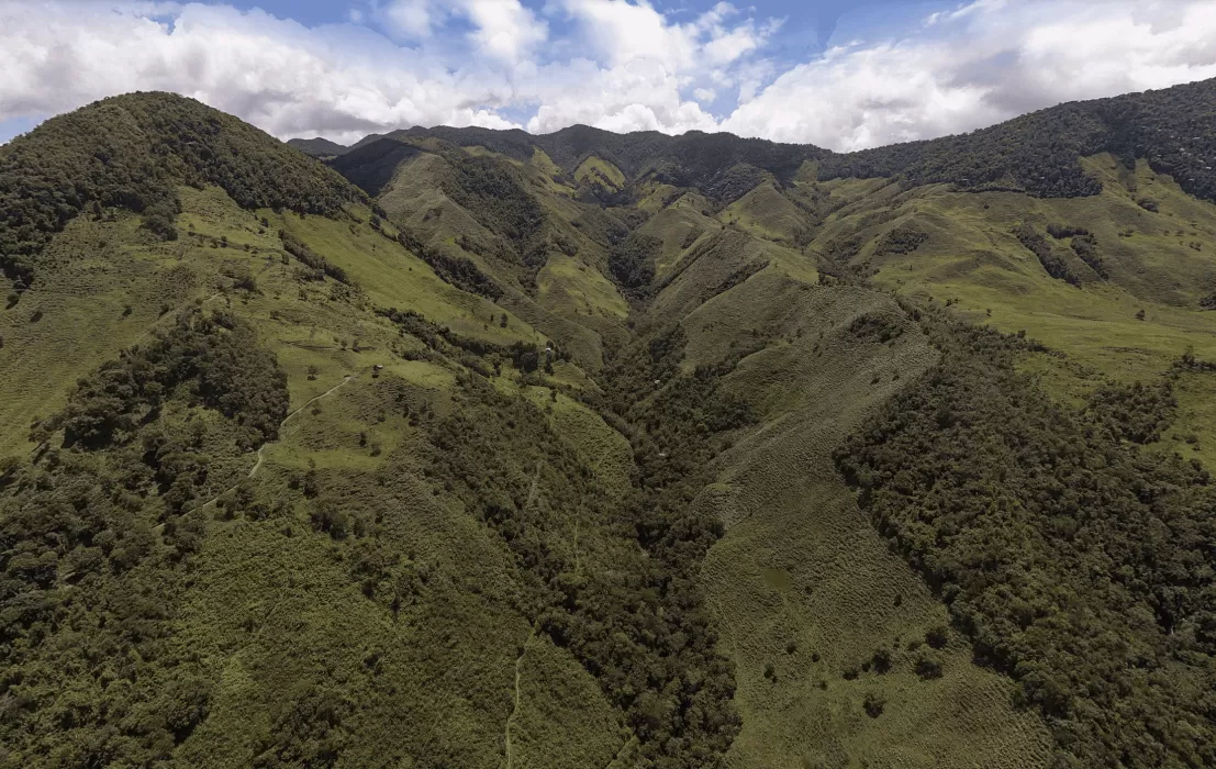 Screenshot 2021 06 02 at 13 07 44 min 1