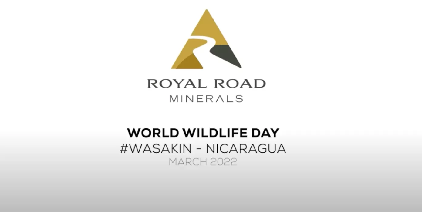 Screenshot 2022 04 13 at 10 53 29